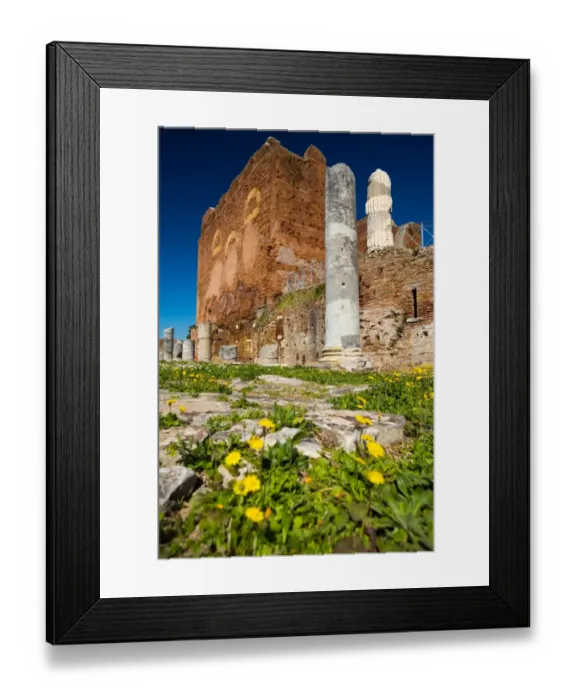 Framed Print : The Forum in the ruins of the Ancient Roman harbour city of Ostia Antica in Rome, Italy Framed Print : The Forum in the ruins of the Ancient Roman harbour city of Ostia Antica in Rome, Italy