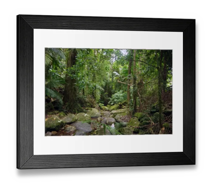 Framed Print : Color Stories - Green Framed Print : Color Stories - Green