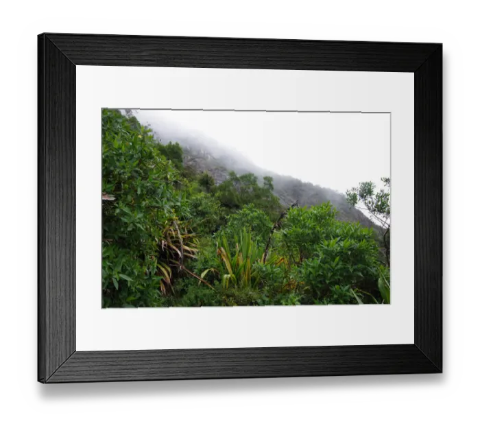 Framed Print : Color Stories - Green Framed Print : Color Stories - Green