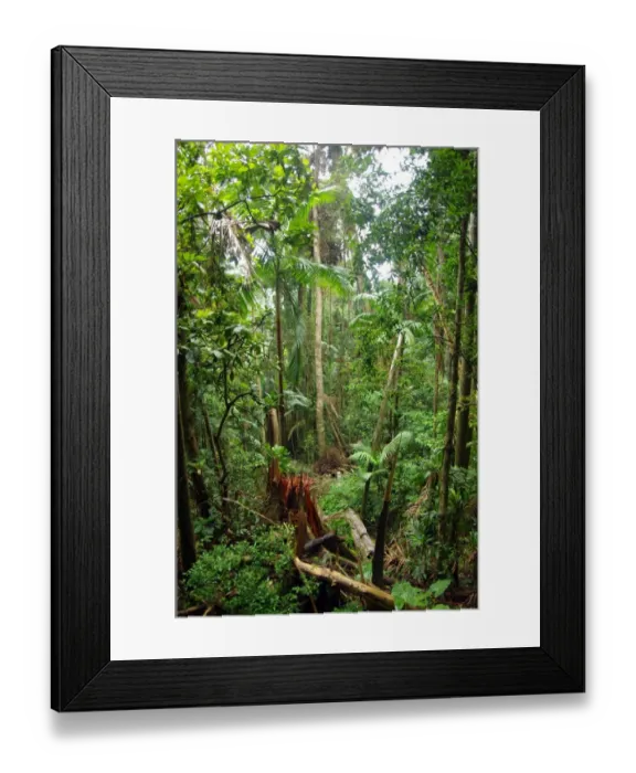 Framed Print : Color Stories - Green Framed Print : Color Stories - Green