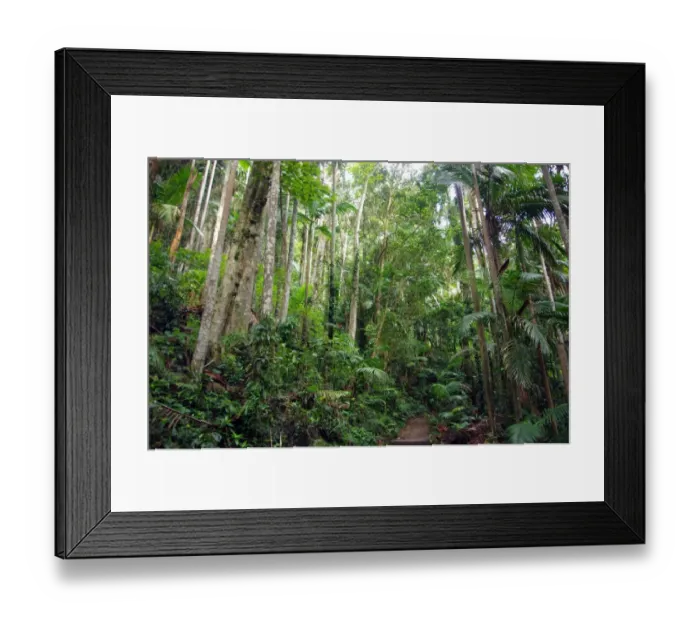 Framed Print : Color Stories - Green Framed Print : Color Stories - Green
