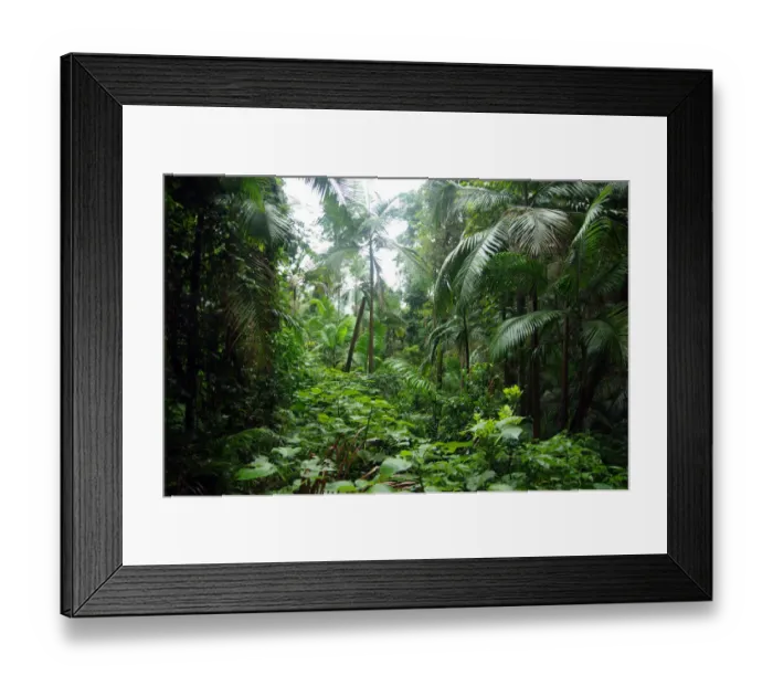Framed Print : Color Stories - Green Framed Print : Color Stories - Green