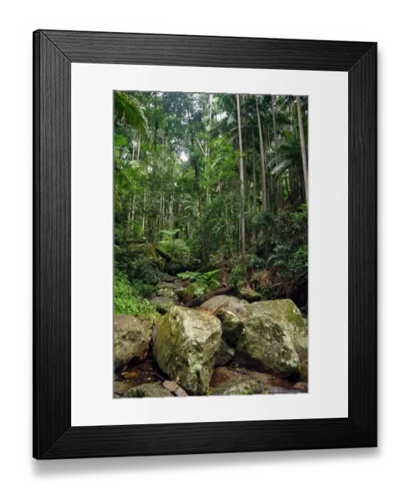 Framed Print : Color Stories - Green Framed Print : Color Stories - Green