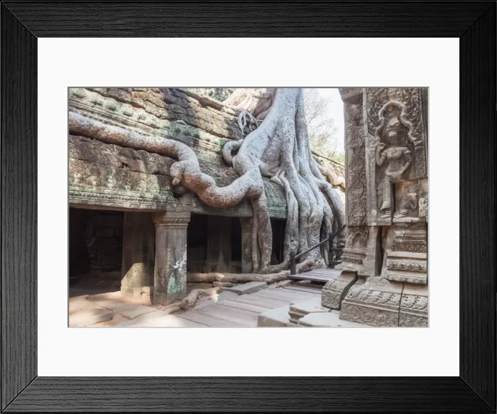 Framed Print : Tree Roots Covered Ta Prohm Ancient Temple Framed Print : Tree Roots Covered Ta Prohm Ancient Temple