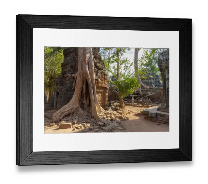 Framed Print : Tree Roots Covered Ta Prohm Ancient Temple