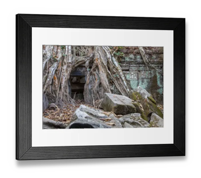 Framed Print : Ta Prohm Temple, Angkor, Cambodia Framed Print : Ta Prohm Temple, Angkor, Cambodia