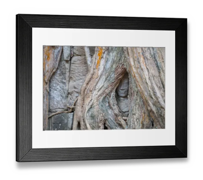 Framed Print : Ta Prohm Temple, Angkor, Cambodia Framed Print : Ta Prohm Temple, Angkor, Cambodia