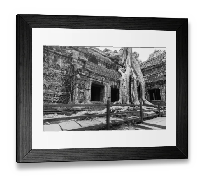 Framed Print : Ta Prohm Temple, Angkor, Cambodia Framed Print : Ta Prohm Temple, Angkor, Cambodia