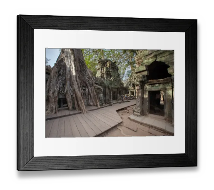 Framed Print : Ta Prohm Temple, Angkor, Cambodia Framed Print : Ta Prohm Temple, Angkor, Cambodia