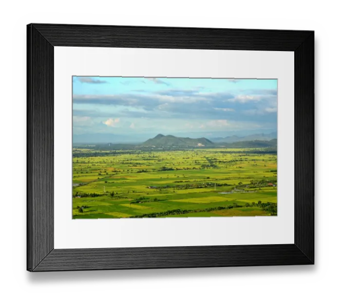 Framed Print : rice paddy Framed Print : rice paddy