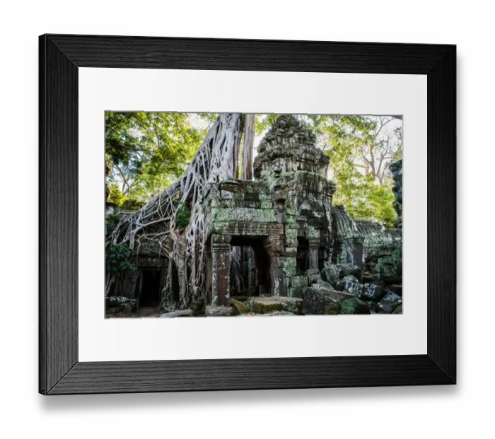 Framed Print : Ta Prohm Temple Angkor Wat Siem Reap Cambodia