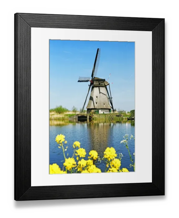 Framed Print : Windmills of Kinderdijk, Netherlands Framed Print : Windmills of Kinderdijk, Netherlands