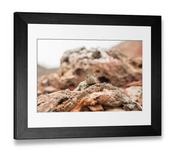 Framed Print : Chico Vulcano Framed Print : Chico Vulcano