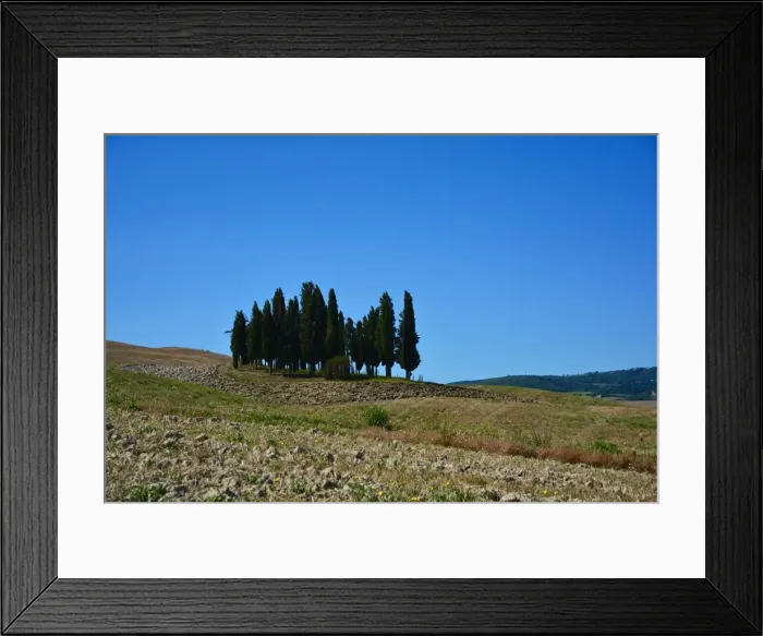 Framed Print : Cypress trees from San Quirico d Orcia Framed Print : Cypress trees from San Quirico d Orcia