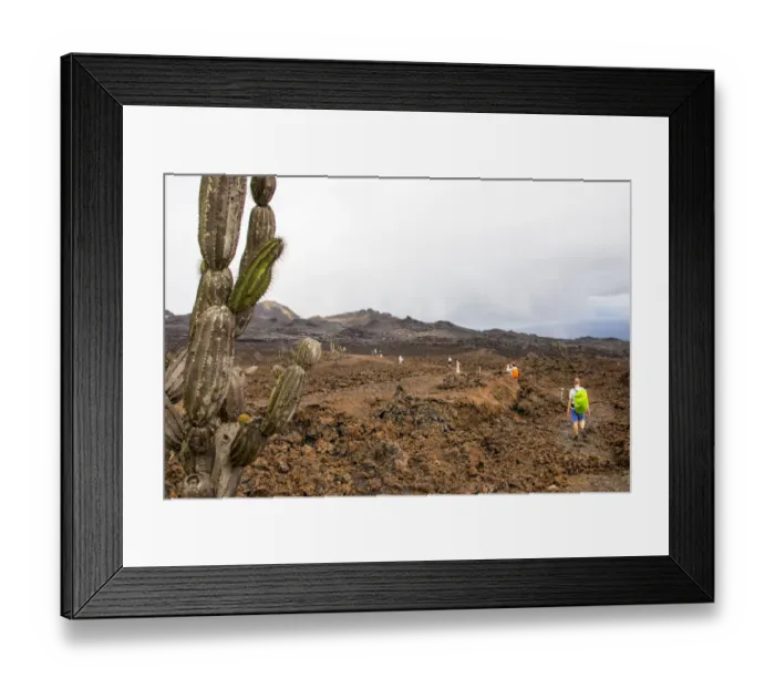 Framed Print : Sierra Negra volcano on Isla Isabela Framed Print : Sierra Negra volcano on Isla Isabela