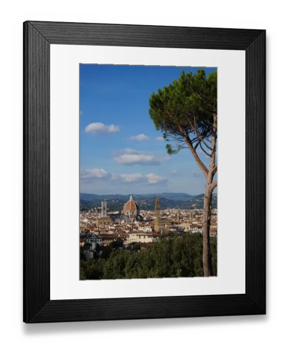 Framed Print : Architectural Highlights of Florence, Tree, Italy Framed Print : Architectural Highlights of Florence, Tree, Italy