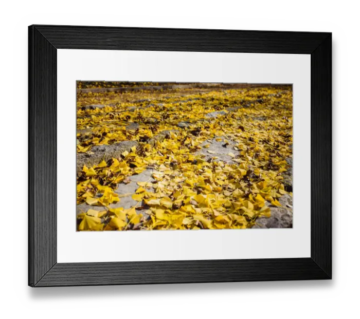 Framed Print : Jongmyo Shrine Framed Print : Jongmyo Shrine