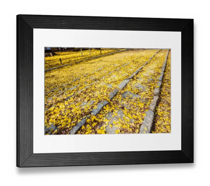 Framed Print : Jongmyo Shrine Framed Print : Jongmyo Shrine