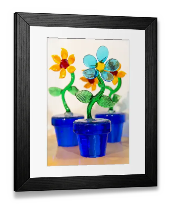 Framed Print : Life is a flower Framed Print : Life is a flower