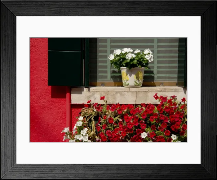 Framed Print : Color match Framed Print : Color match