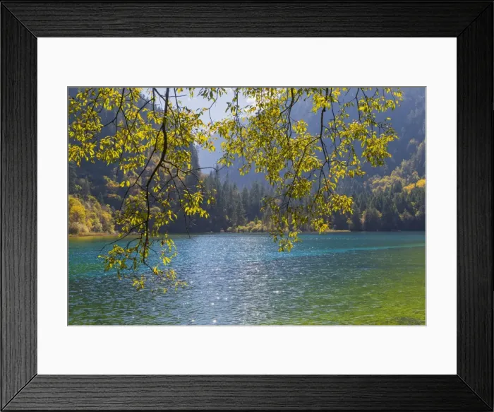 Framed Print : Jiuzhaigou NP - Colorful Lake Framed Print : Jiuzhaigou NP - Colorful Lake
