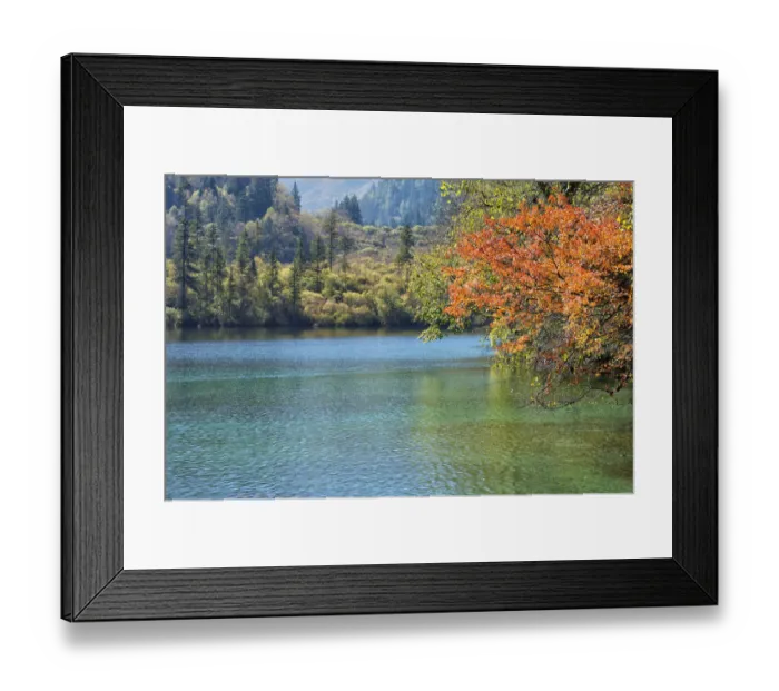 Framed Print : Jiuzhaigou NP - Panda Lake
