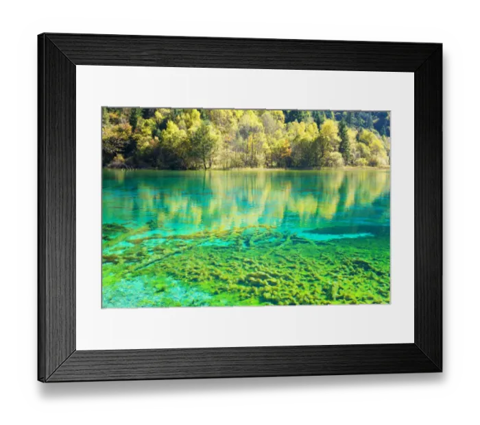 Framed Print : Jiuzhaigou NP - Colorful Lake Framed Print : Jiuzhaigou NP - Colorful Lake