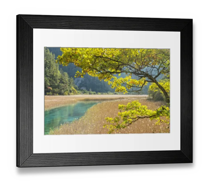 Framed Print : Jiuzhaigou NP Framed Print : Jiuzhaigou NP