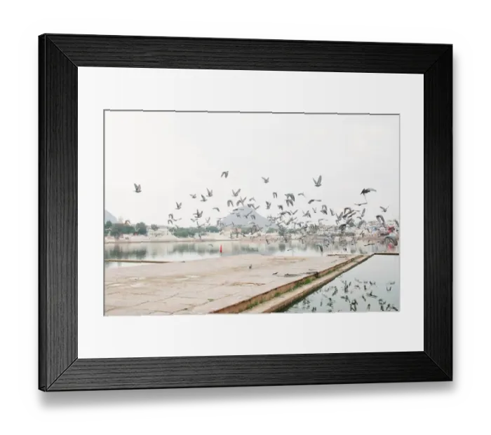 Framed Print : Pushkar lake and shrine, Pushkar Rajasthan India Framed Print : Pushkar lake and shrine, Pushkar Rajasthan India
