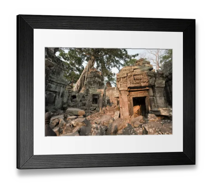 Framed Print : Cambodia, Siem Reap, Angkor Wat, Ta Prohm Temple Framed Print : Cambodia, Siem Reap, Angkor Wat, Ta Prohm Temple