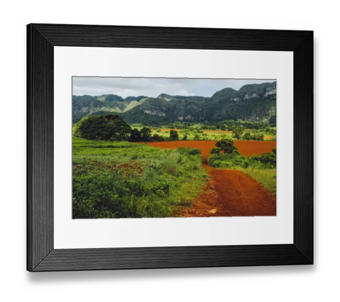 Framed Print : Agricultural fields in ViAnales valley, Cuba Framed Print : Agricultural fields in ViAnales valley, Cuba