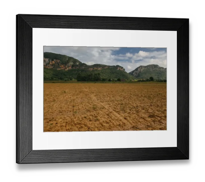 Framed Print : Agricultural fields in ViAnales valley, Cuba Framed Print : Agricultural fields in ViAnales valley, Cuba