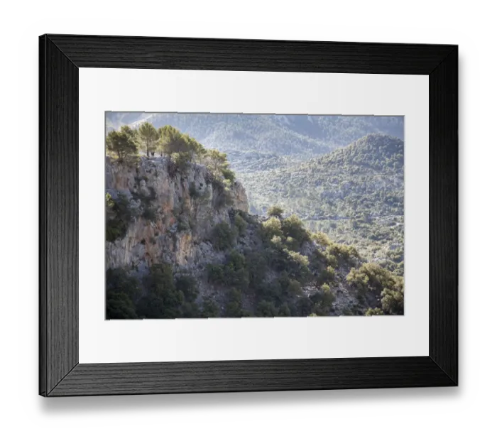 Framed Print : Pine tree forest in Sierra de Tramuntana Framed Print : Pine tree forest in Sierra de Tramuntana