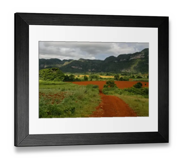 Framed Print : Agricultural fields in ViAnales valley, Cuba Framed Print : Agricultural fields in ViAnales valley, Cuba