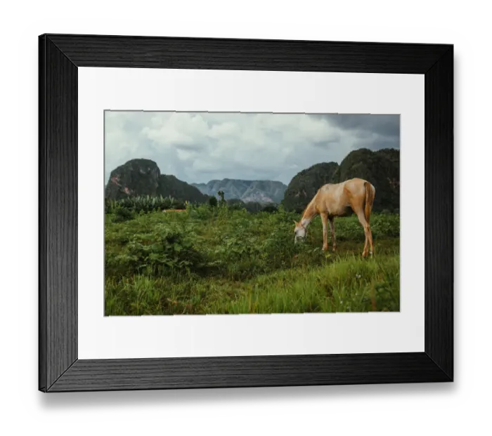 Framed Print : View on ViAnales valley, in Cuba Framed Print : View on ViAnales valley, in Cuba