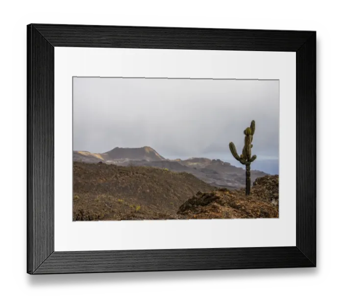 Framed Print : Sierra Negra volcano on Isla Isabela