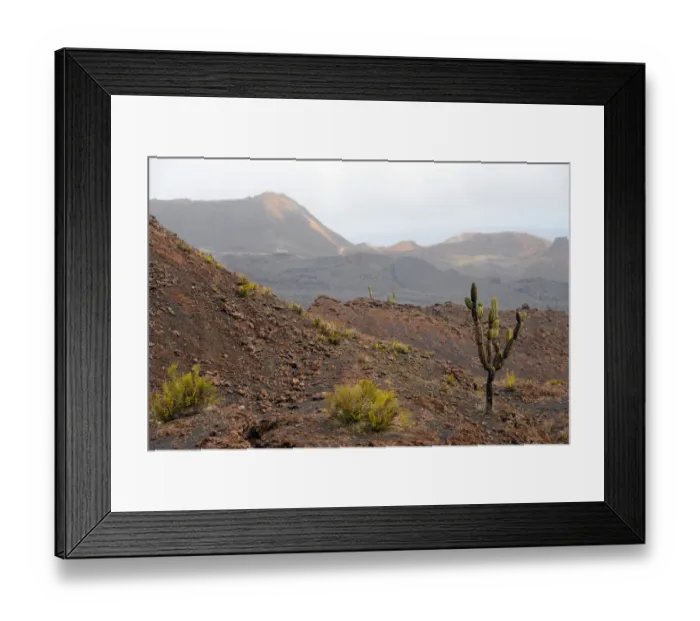Framed Print : Sierra Negra volcano on Isla Isabela Framed Print : Sierra Negra volcano on Isla Isabela