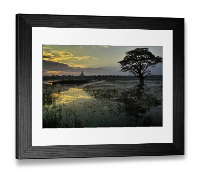 Framed Print : Sunrise at Anuradhapura Framed Print : Sunrise at Anuradhapura