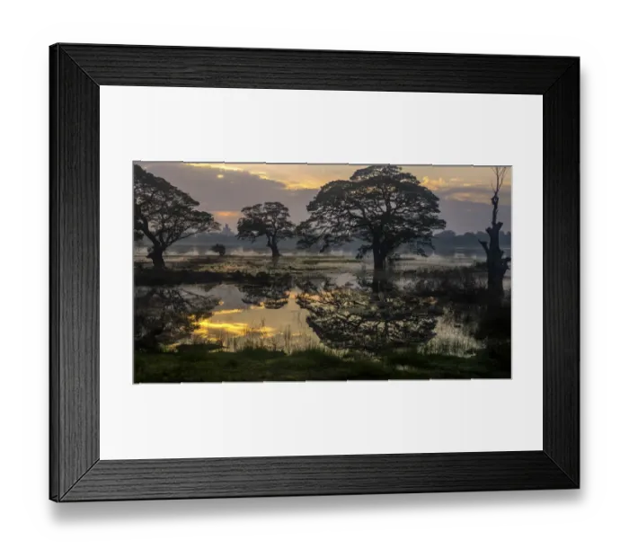 Framed Print : Sunrise at Anuradhapura Framed Print : Sunrise at Anuradhapura