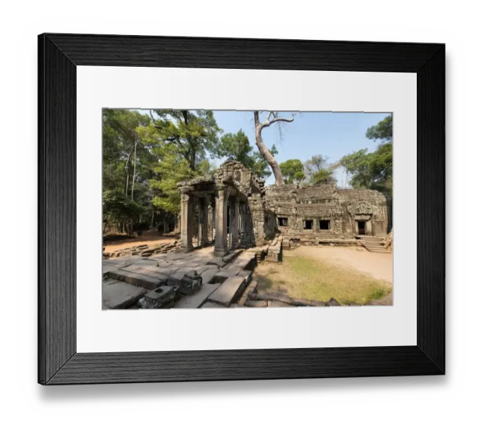 Framed Print : Cambodia, Siem Reap, Angkor Wat, Ta Prohm Temple Framed Print : Cambodia, Siem Reap, Angkor Wat, Ta Prohm Temple