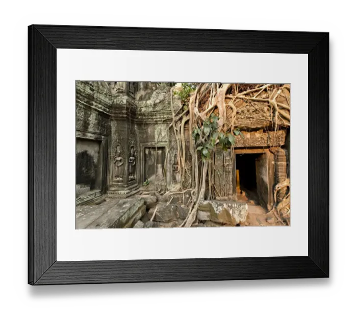 Framed Print : Cambodia, Siem Reap, Angkor Wat, Ta Prohm Temple Framed Print : Cambodia, Siem Reap, Angkor Wat, Ta Prohm Temple