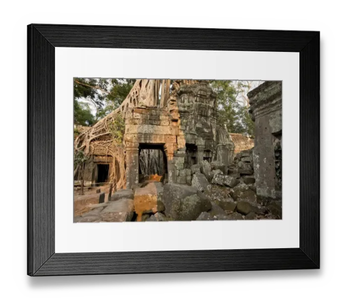 Framed Print : Cambodia, Siem Reap, Angkor Wat, Ta Prohm Temple Framed Print : Cambodia, Siem Reap, Angkor Wat, Ta Prohm Temple