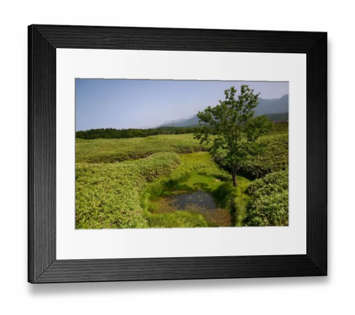 Framed Print : Shiretoko Five Lakes Framed Print : Shiretoko Five Lakes