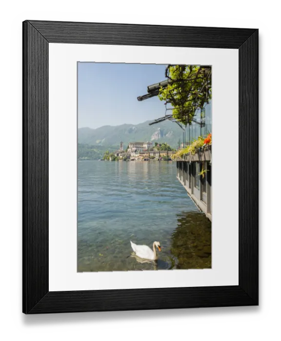 Framed Print : Lake Orta with a swan and island San Giulio in a sunny day in Piedmont, Italy Framed Print : Lake Orta with a swan and island San Giulio in a sunny day in Piedmont, Italy