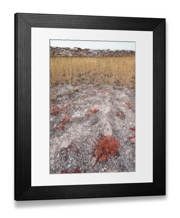 Framed Print : Stone wall and vegetation on A-land Framed Print : Stone wall and vegetation on A-land