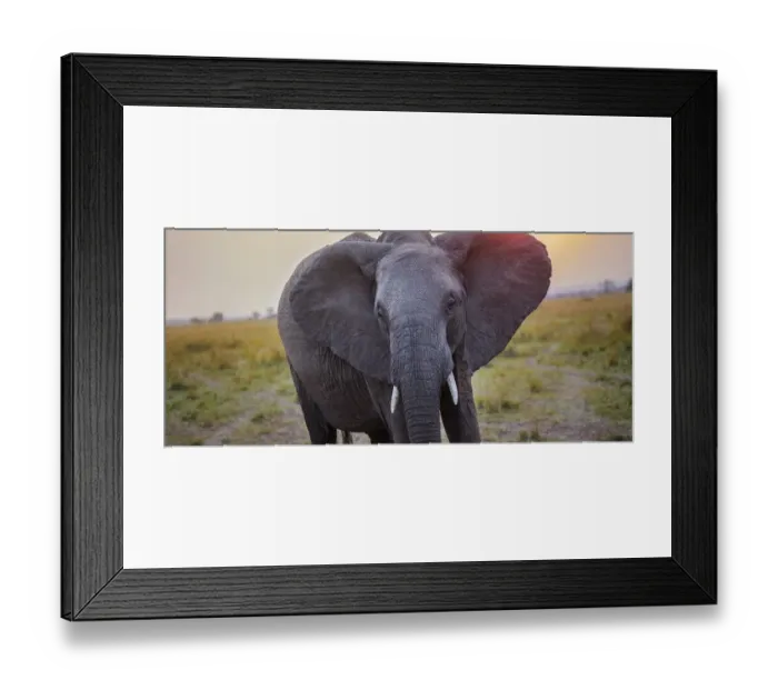 Framed Print : African Eclipse Framed Print : African Eclipse