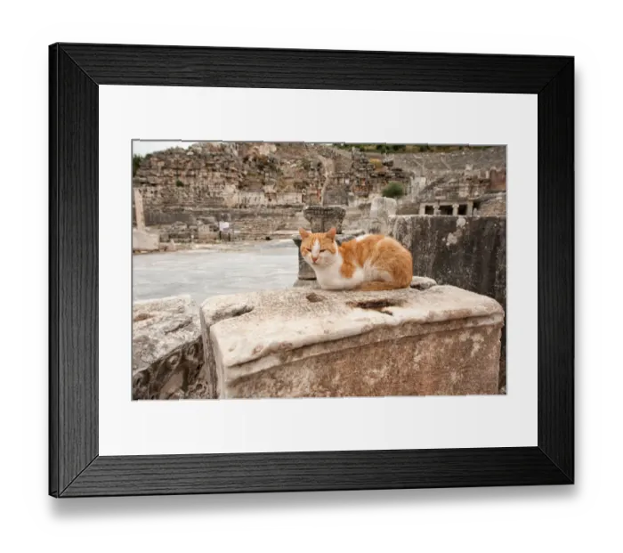 Framed Print : Commercial Agora in Ephesus Framed Print : Commercial Agora in Ephesus