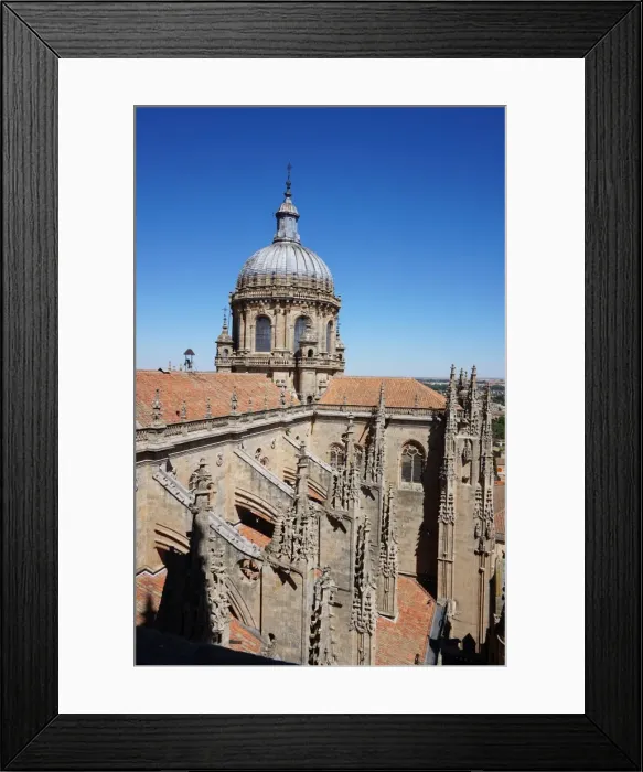 Framed Print : Cupola and Rooftop of the New Cathedral of Salamanca, Spain