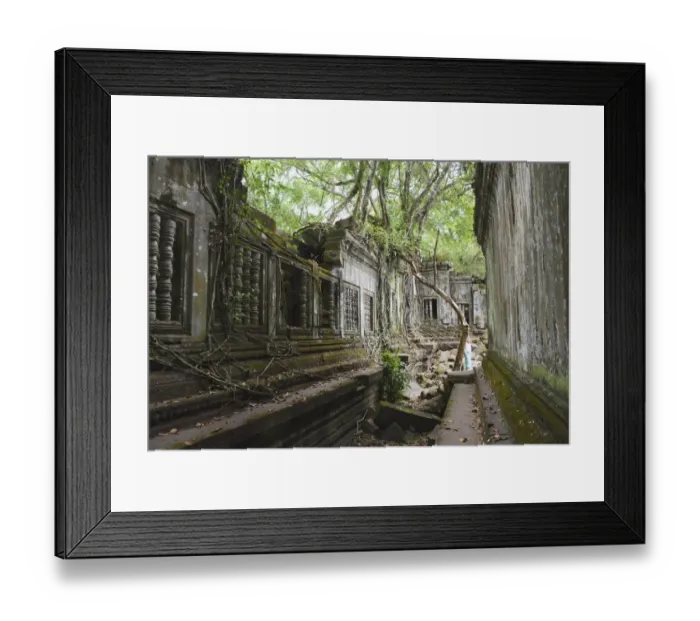 Framed Print : Beng Mealea Angkorian Temples, near Siem Reap, Cambodia Framed Print : Beng Mealea Angkorian Temples, near Siem Reap, Cambodia