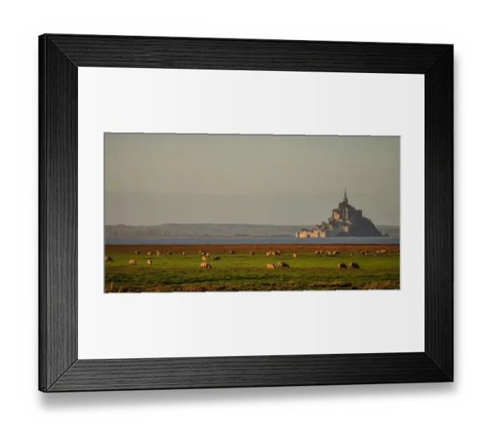 Framed Print : Mont-Saint-Michel with sheeps at sunrise Framed Print : Mont-Saint-Michel with sheeps at sunrise